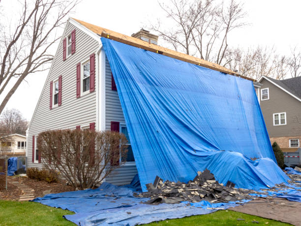 Best Yard Waste Removal  in Elk Grove Vlage, IL